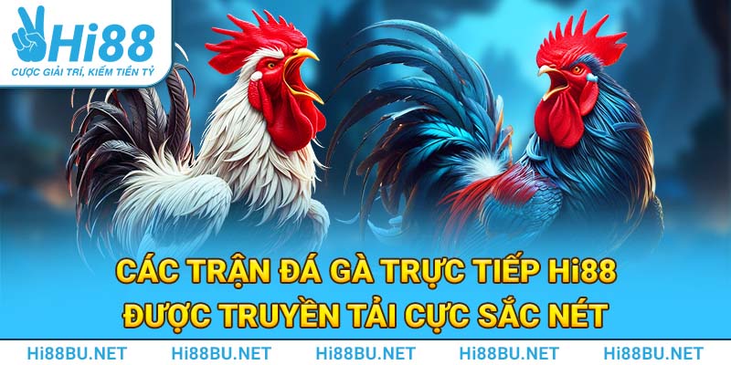 Các trận đá gà Hi88 được truyền tải cực sắc nét