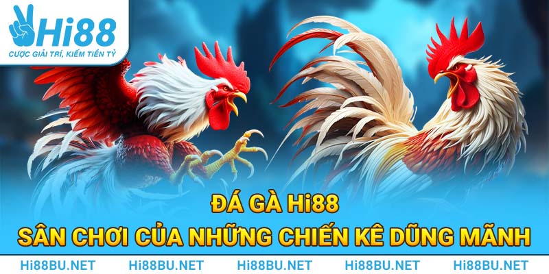 Đá gà Hi88 - Sân chơi của những chiến kê dũng mãnh