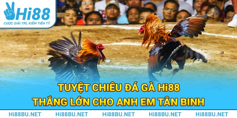 Tuyệt chiêu đá gà Hi88 thắng lớn cho anh em tân binh