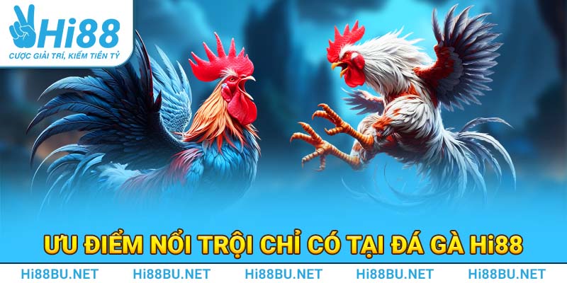 Ưu điểm nổi trội chỉ có tại đá gà Hi88